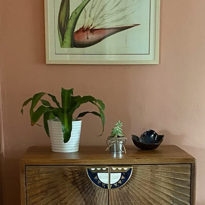 @theembellishdesigners