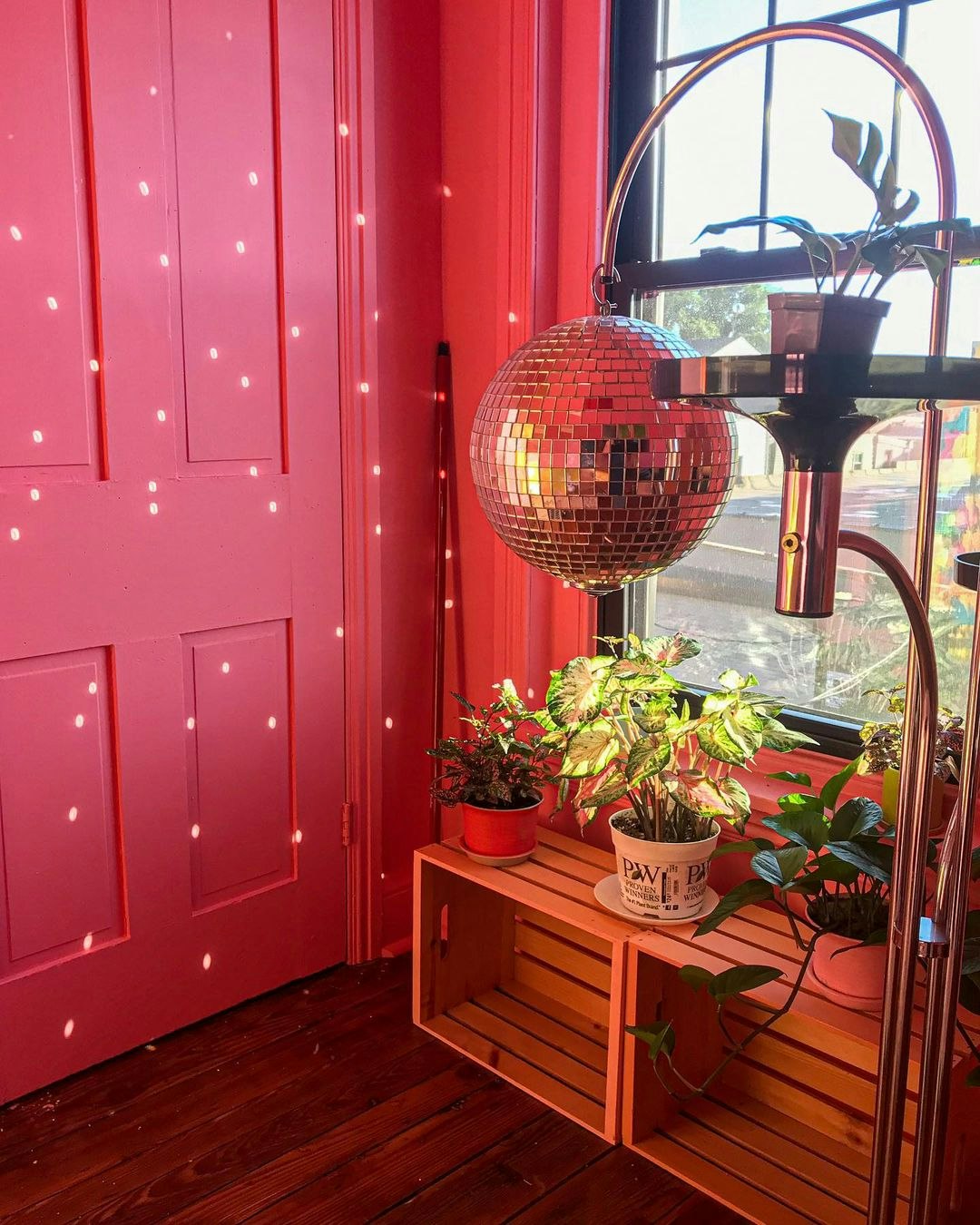 @thepsychedelicrowhouse