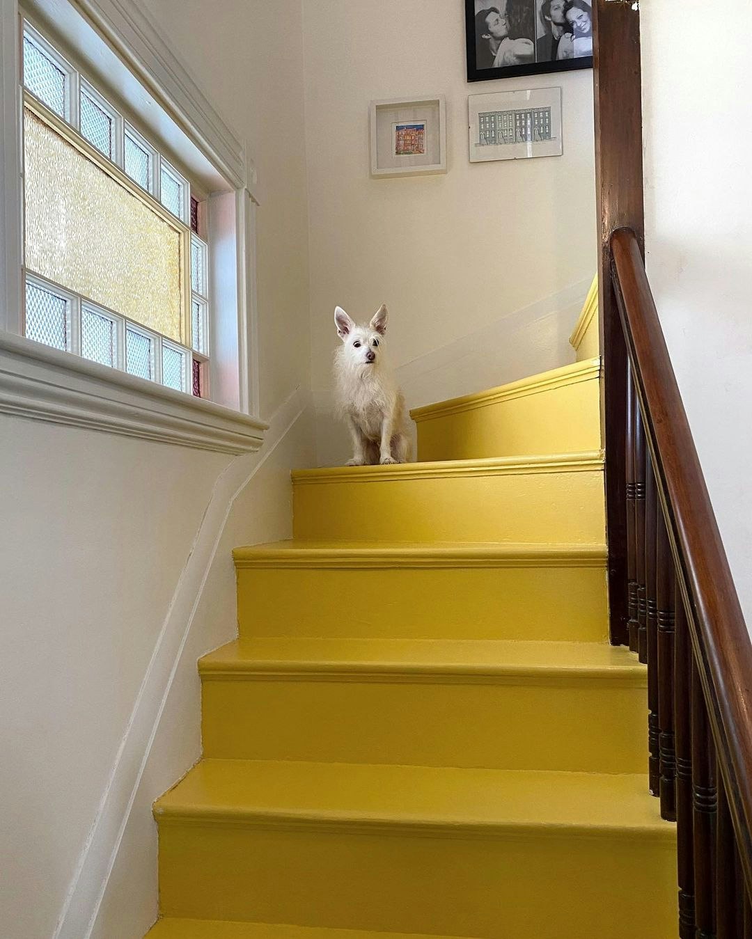 @roefiores_restories