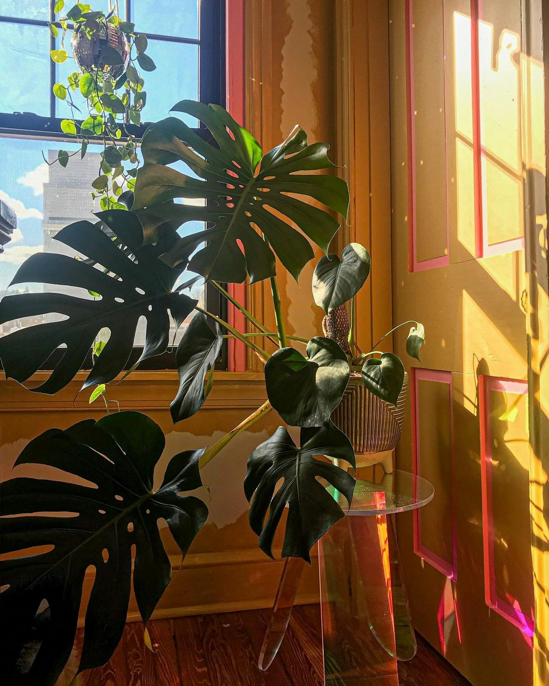 @thepsychedelicrowhouse