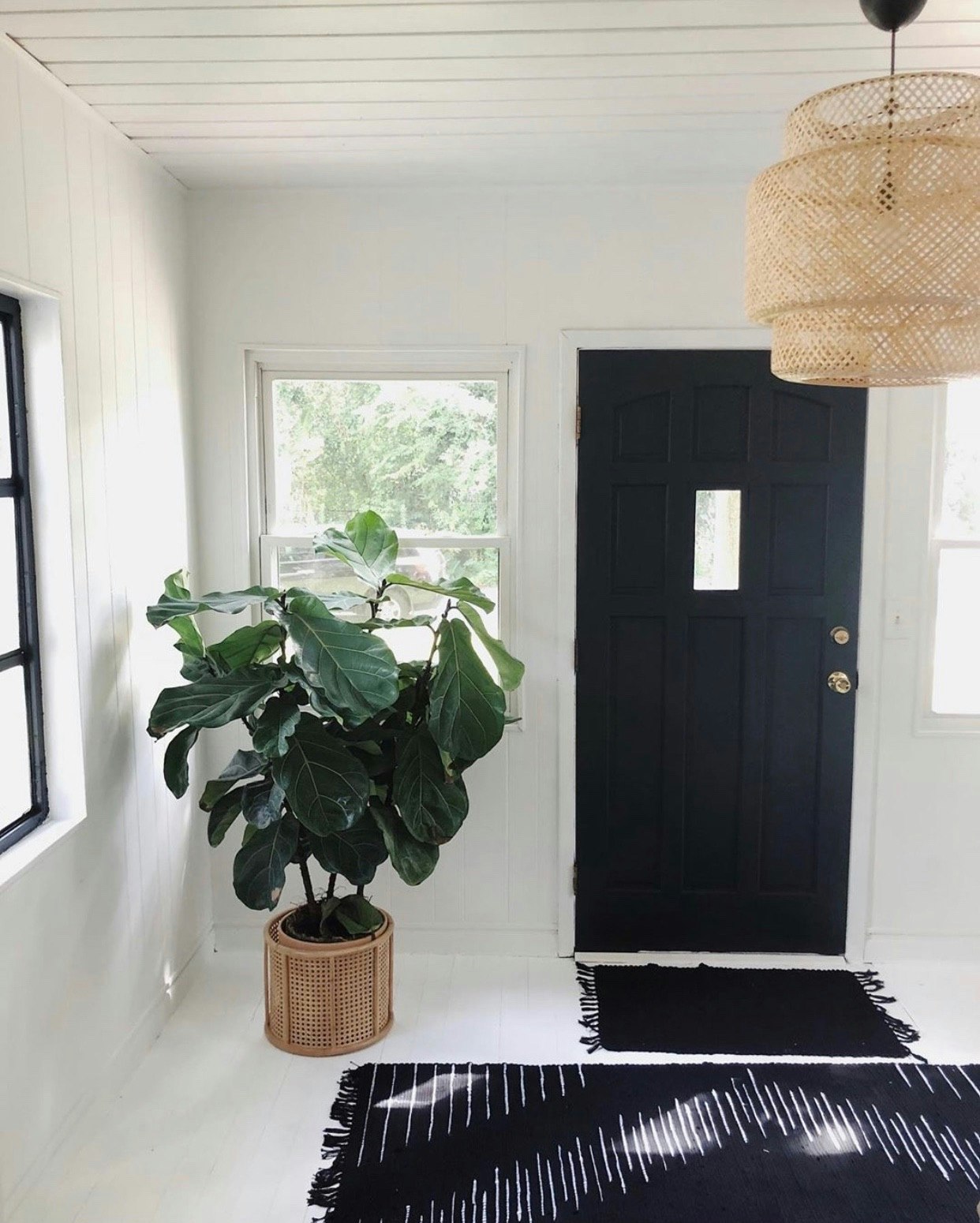 @thesprucecollective