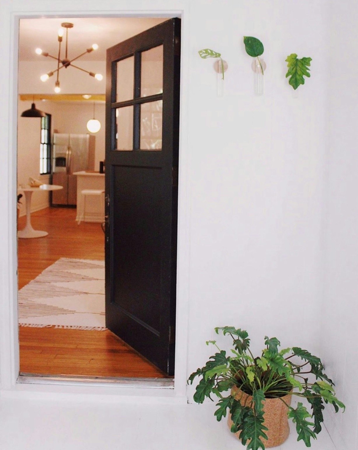 @thesprucecollective