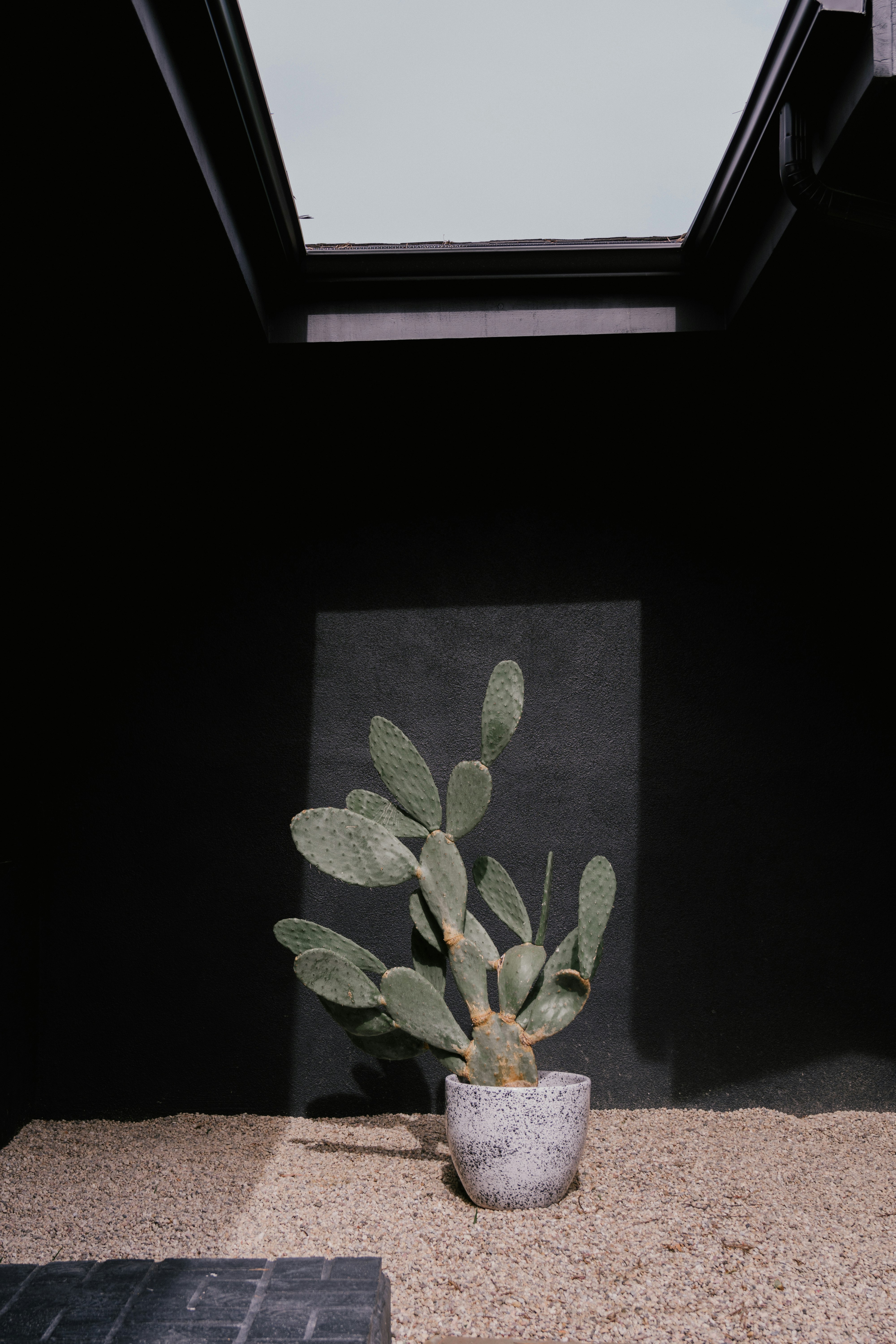 @workingholidaystudio