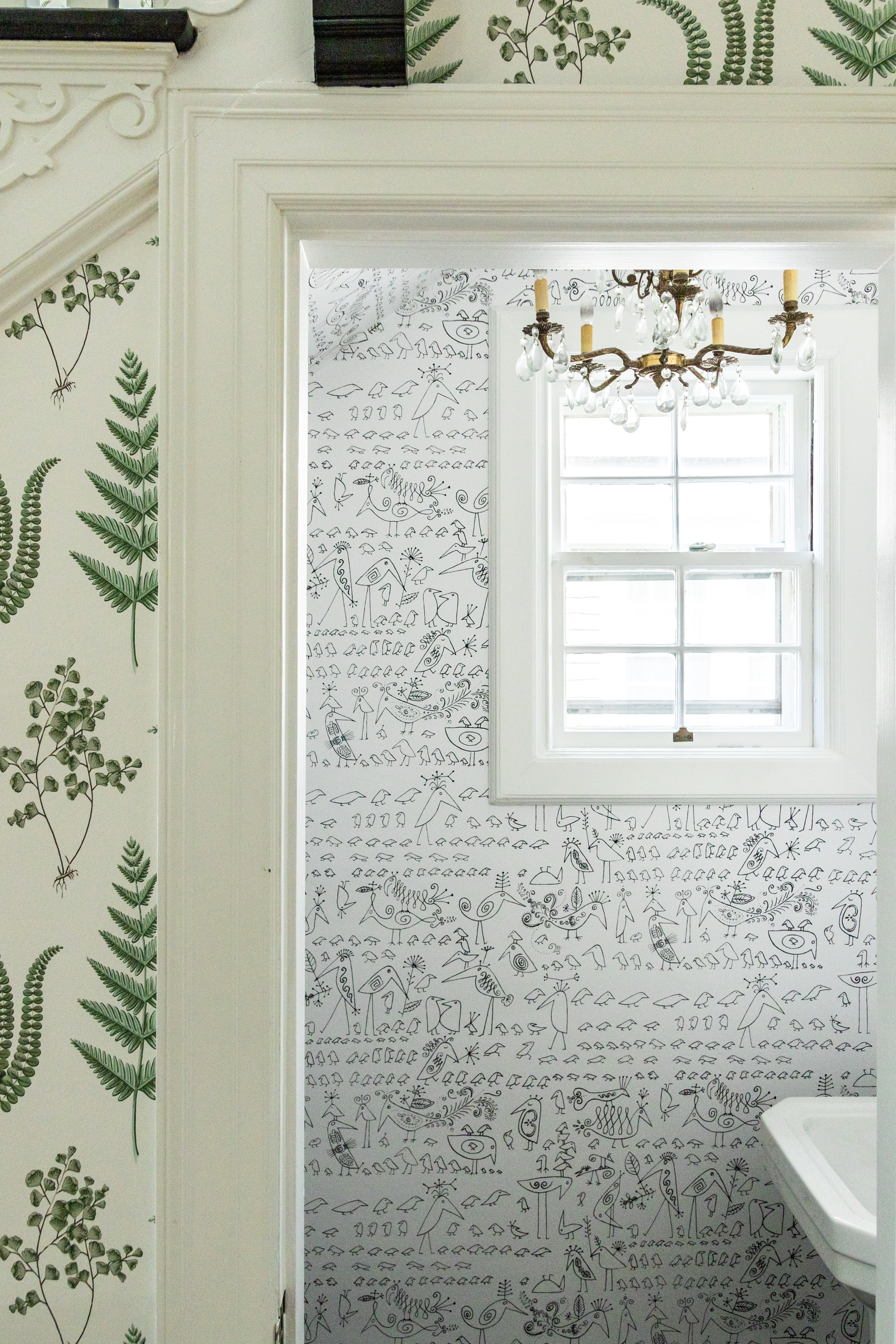 aviary exemplifies the imaginative hand of its creator, beloved illustrator saul steinberg.  by Backdrop. – Add Me, Bathroom, Accents, Wallcoverings